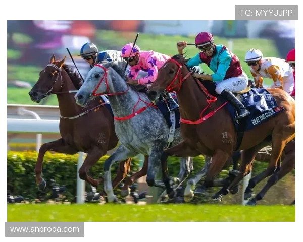 探索AG体育运动首页的多平台支持，随时随地畅享体育盛事的便捷体验